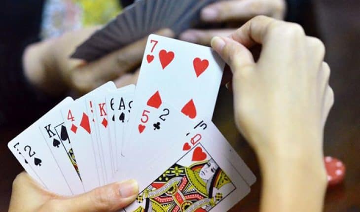 Chơi bài phỏm bịp cùng một người bạn hiểu ý